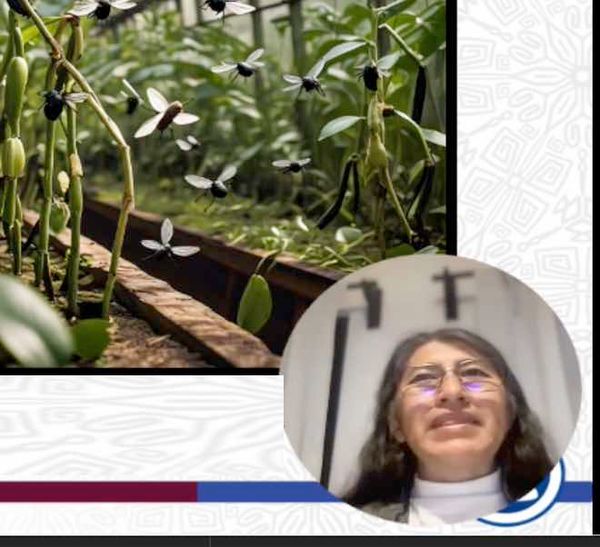 HDG231 - Propuesta de un Prototipo de Trampa Entomológica para el Programa Educativo de Agrobiotec…