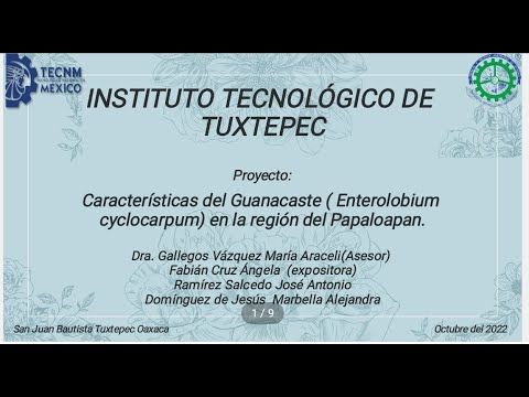 CEL376 - Caracteristicas del Guanacaste (Enterolobium cyclocarpum) en la Región del Papaloapan