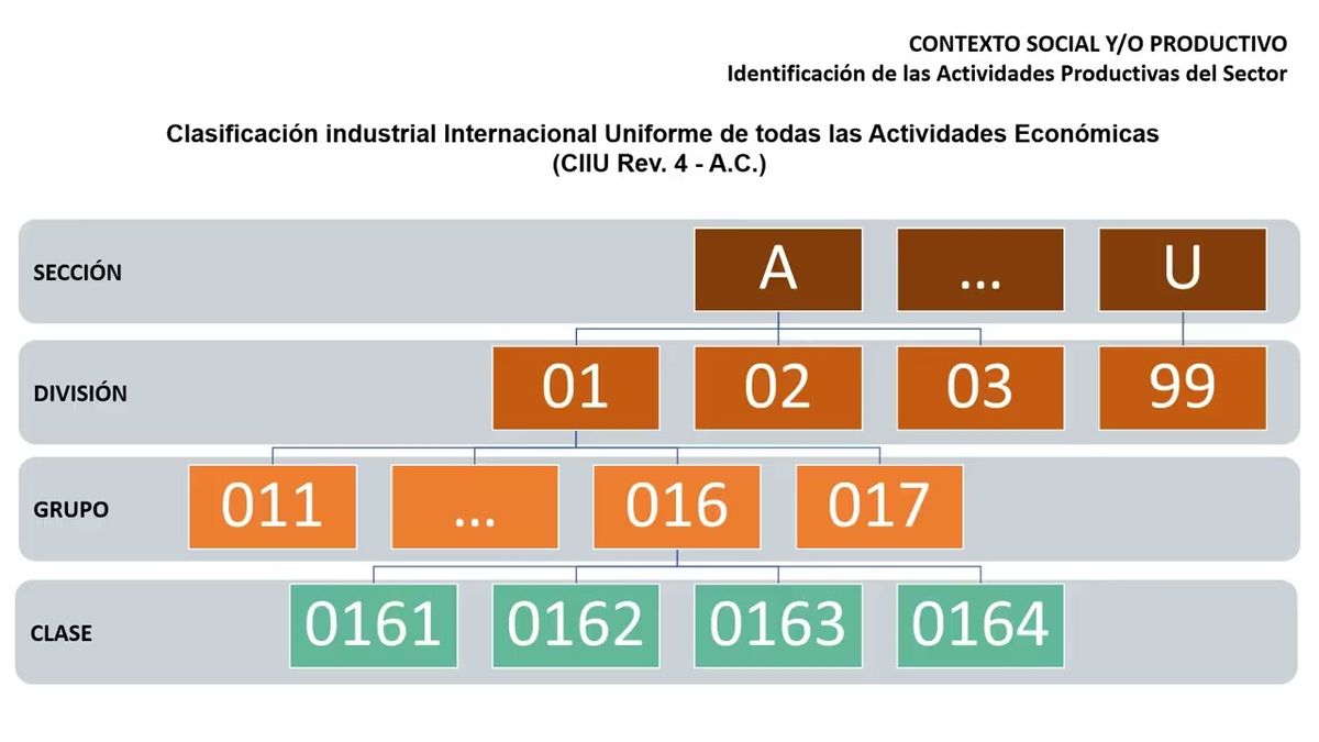 CEL474 - Propuesta de Formación por Competencias en Ingeniería Evidenciada en Resultados de Apre…