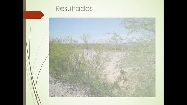 CEL403 - Sistema de Producción y Cadena de Valor del Cultivo de Orégano (Lippia ssp) en la Reserv…