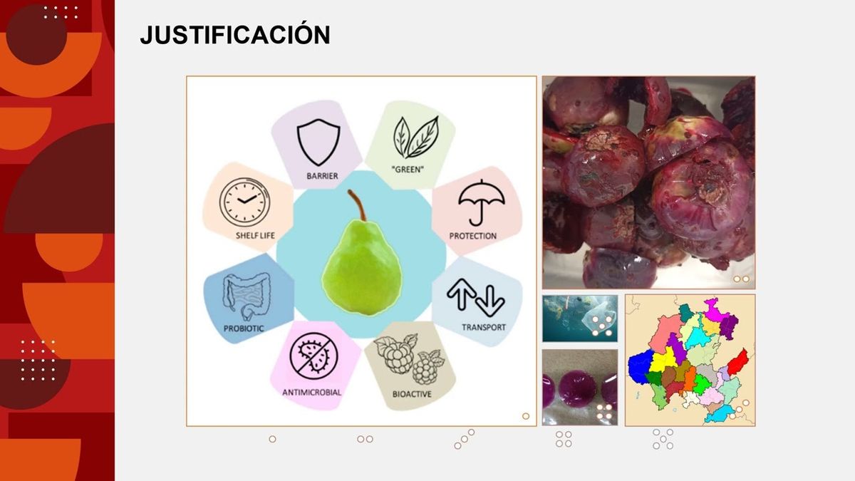 HHH028 - Producción y Caracterización de Películas base Gelatina con Extracto de Tuna variedad b…