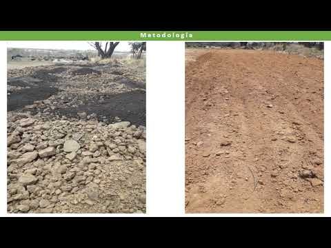 H153 - RESTAURACIÓN DE SUELOS MEDIANTE EL USO DE BIOFERTILIZANTES PARA CULTIVO DE MAÍZ