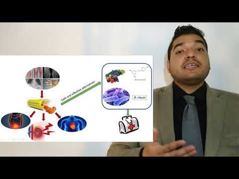 H197 - CHARACTERIZATION OF A SPRAY DRIED MICROENCAPSULATED POWDER CONTAINING BACILLUS CLAUSII AND R…
