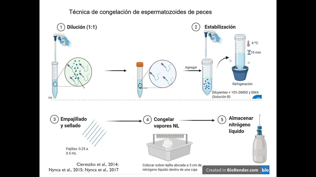 PBL226 - Aplicación de la Tecnología del Frío en la Reproducción Asistida de Peces Teleósteos