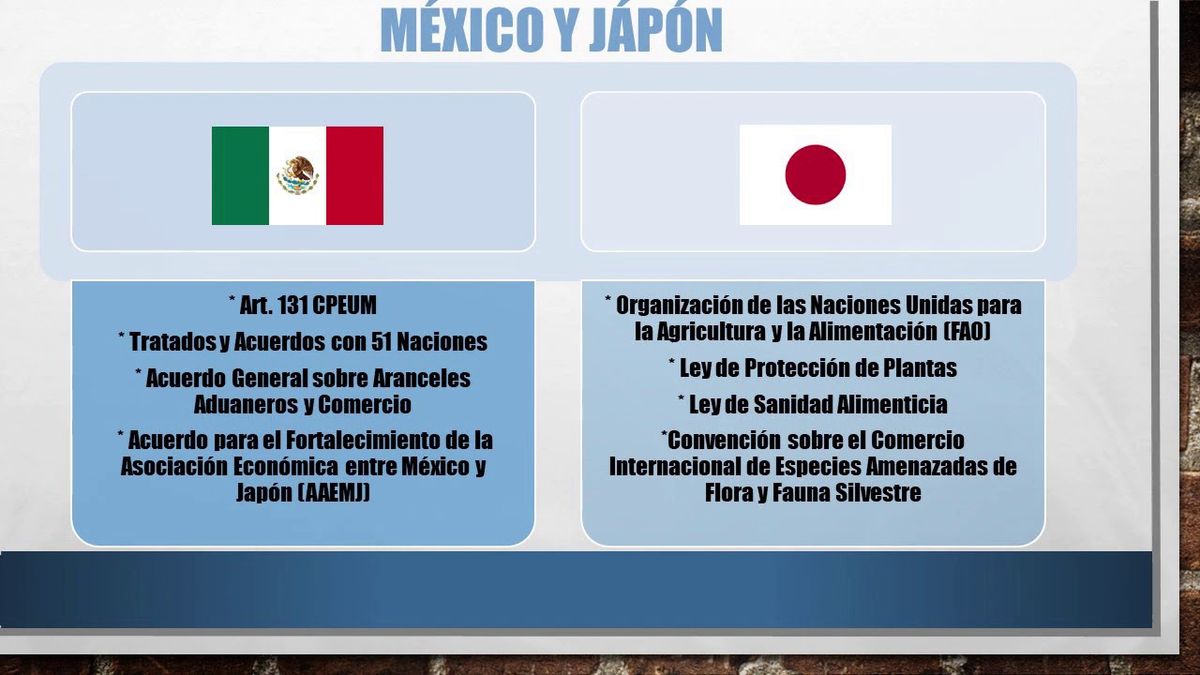 T170 - EL EMBALAJE COMO COMPONENTE ESENCIAL PARA LA EXPORTACIÓN DEL SNACK TABASQUEÑO ELABORADO DE…