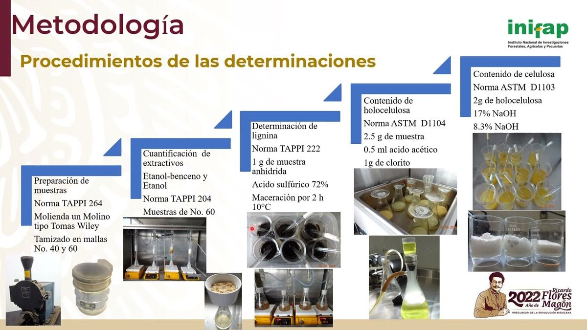 MEX019 - Caracterización Lignocelulósica de la Madera de Pinus patula Proveniente de Oaxaca, Mé…