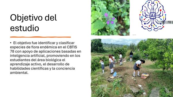 PUE100 - Uso de la Inteligencia Artificial para la Identificación y Clasificación de la Flora End…