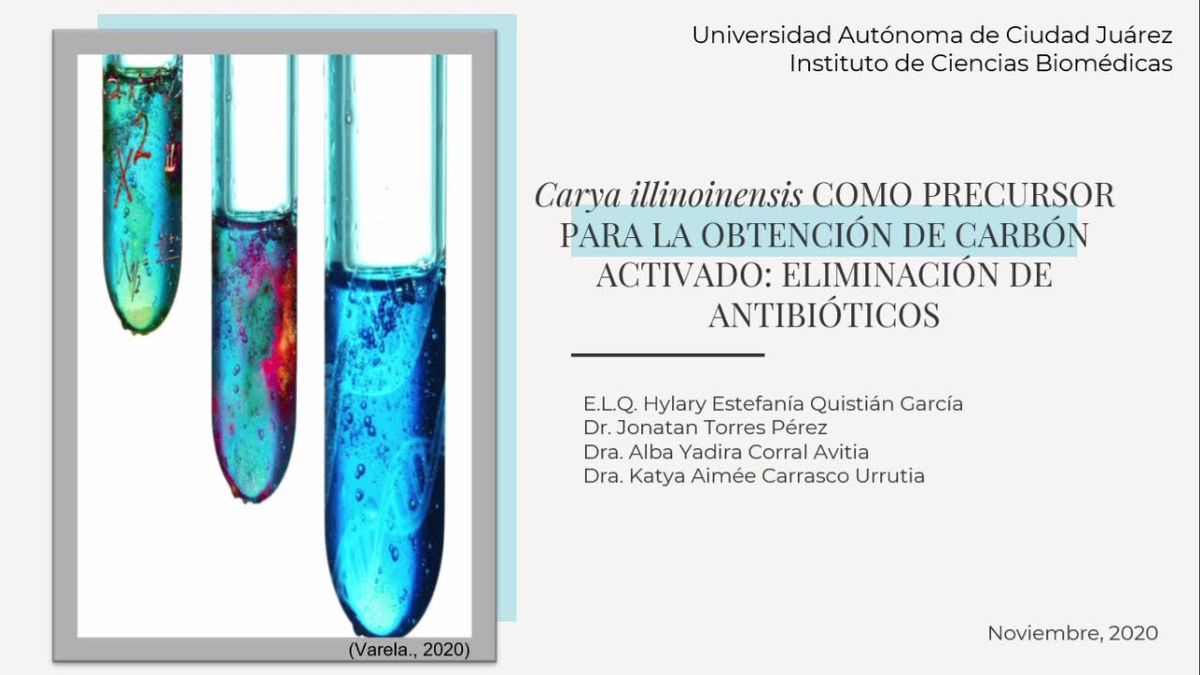 CCC-009 - CARYA ILLINOINENSIS COMO PRECURSOR PARA LA OBTENCIÓN DE CARBÓN ACTIVADO: ELIMINACIÓN D…