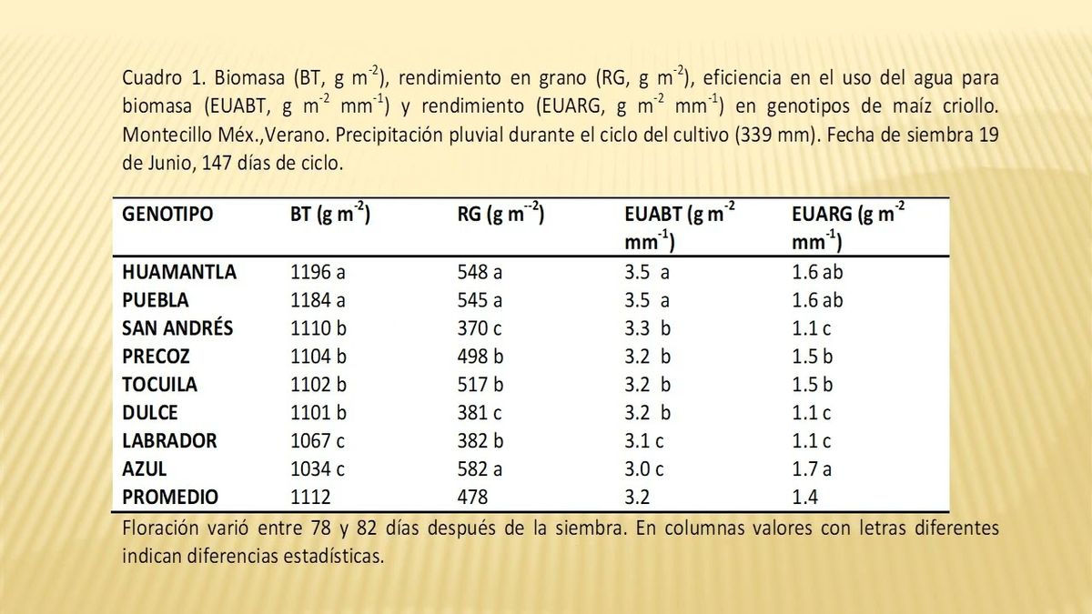 MOR286 - Manejo del Cultivo para una Mayor Eficiencia en el Uso del Agua de Lluvia, Biomasa y Rendi…