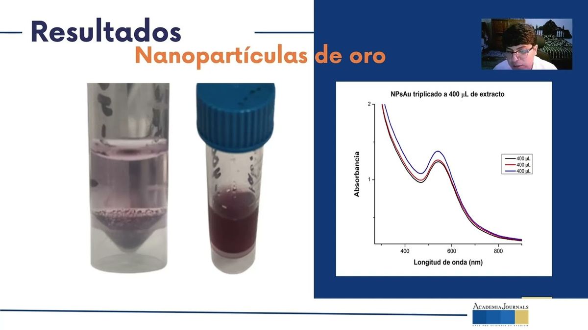 CHS122 - Análisis Fitoquímico y Actividad Antioxidante Total del Extracto de Cebolla Blanca (Alli…