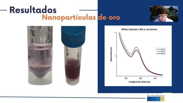 CHS122 - Análisis Fitoquímico y Actividad Antioxidante Total del Extracto de Cebolla Blanca (Alli…