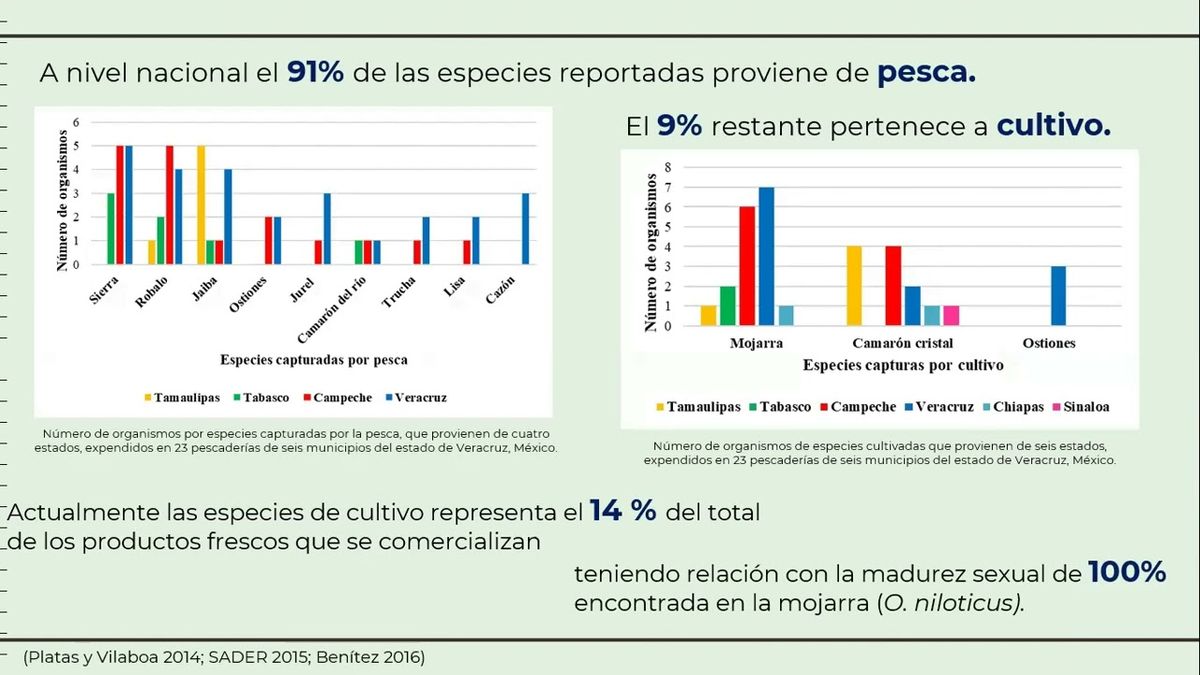 MEX063 - Procedencia y Comercialización de Especial Expendidas en Pescaderías de Diferentes Punt…