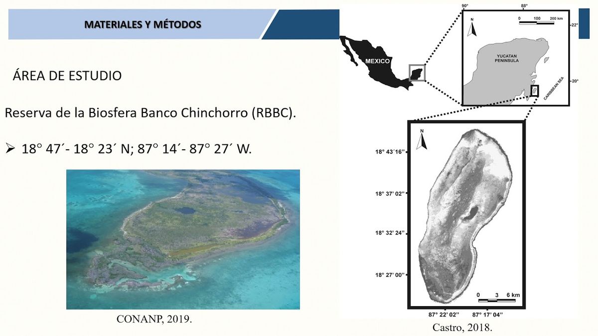 CTM023 - Evaluación de la Población del Caracol Rosado Aliger Gigas Durante los Años de Monitore…