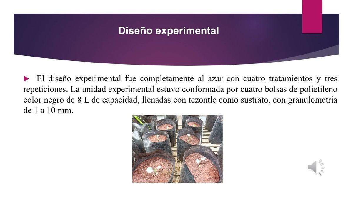 CHM162 - Fertilización Química y Biológica: su Efecto en la Producción de Brócoli (Brassica o…