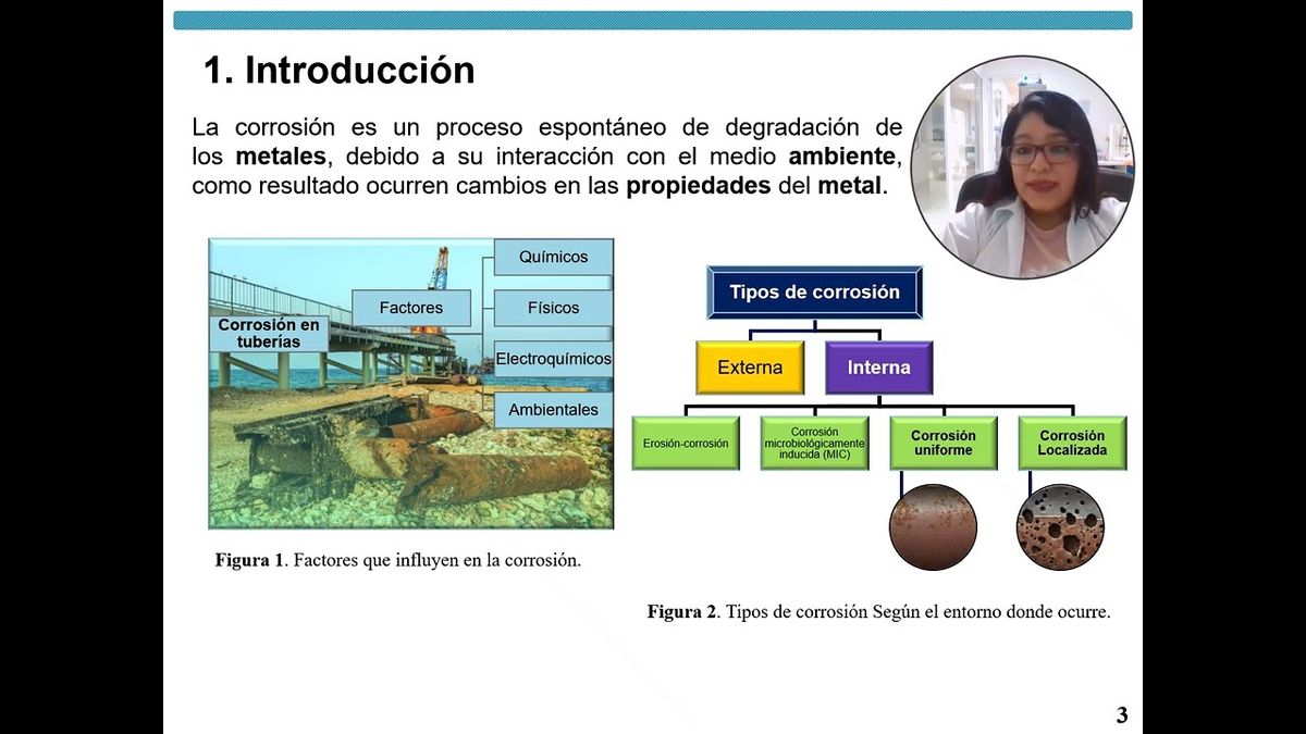CHE016- Caracterización Fitoquímica del Extracto Etanólico de las Hojas de Bursera simaruba (cha…