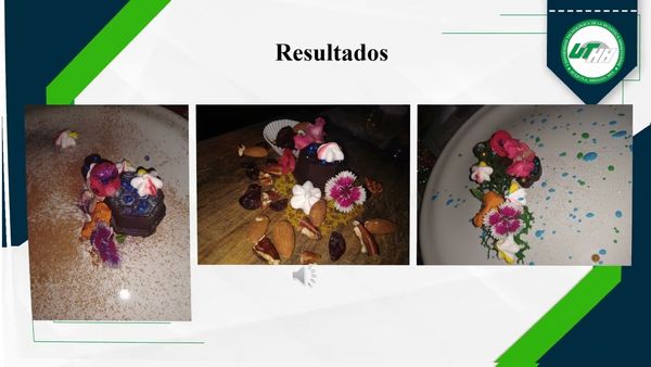 CLY066 - ““Elaboración de bombones de chocolate obscuro con rellenos a base de frutas y semill…