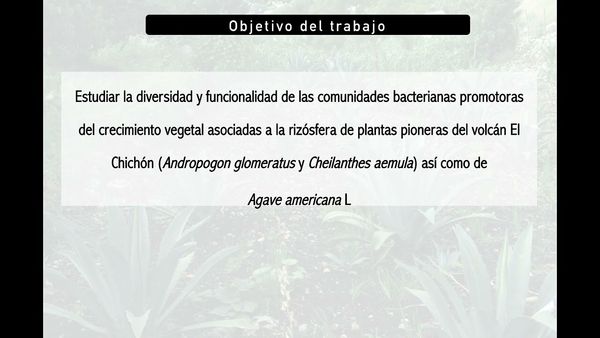 CHP005 - Bacterias Promotoras de Crecimiento Vegetal y su Aplicación en la Agricultura
