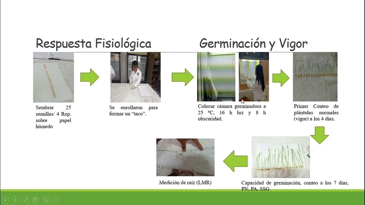 CYA173 - Relación de Gliadinas y Gluteninas con la Fisiología de Semillas en Variedades y Línea…