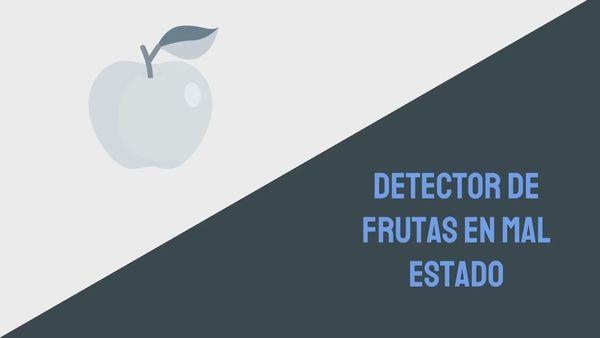 CHM098 - Diseño y Desarrollo de Detector de Frutas en Mal Estado