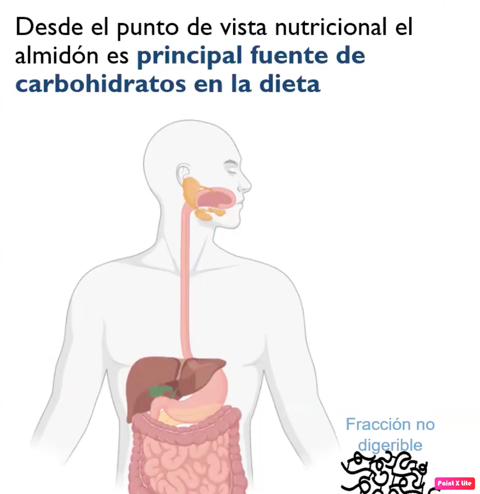 CMX055 - Análisis de las propiedades térmicas y perfil de viscosidad de almidones altos en amilos…