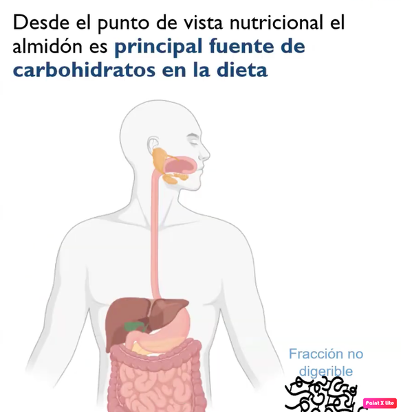 CMX055 - Análisis de las propiedades térmicas y perfil de viscosidad de almidones altos en amilos…