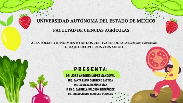 CHS065 - Área Foliar y Rendimiento de Minitubérculos de Papa (Solanum tuberosum L.) en Función d…