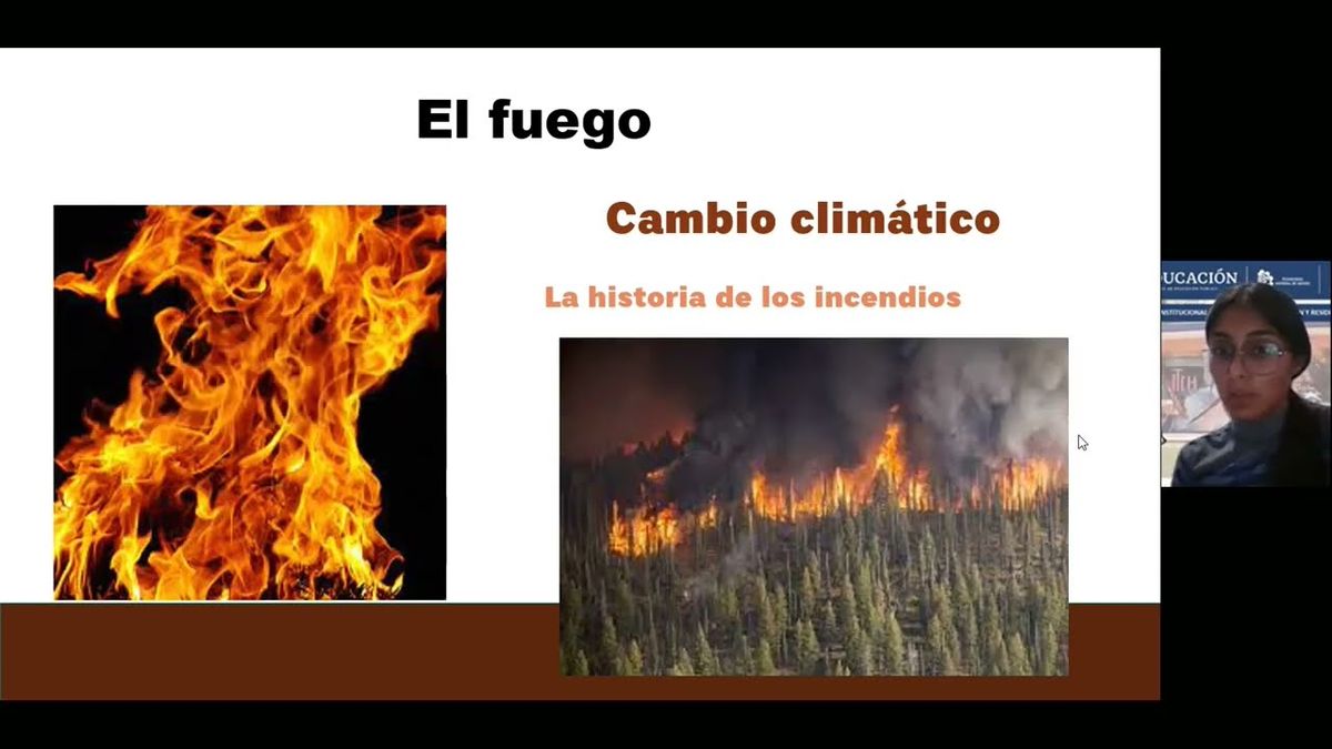 CHE161 - Reconstrucción de la Historia de Incendios durante los Últimos 1500 Años en la Franja …