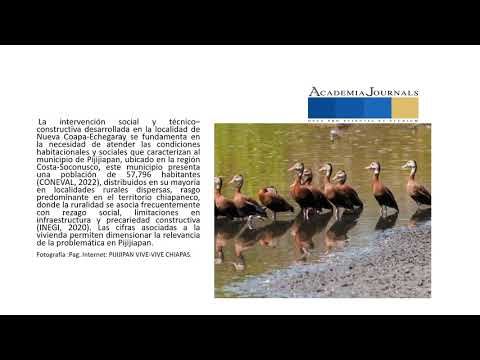 INT081- Transferencia Tecnológica para la Autoconstrucción Sustentable en Nueva Coapa-Echegaray, …