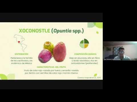 T238 - COMPUESTOS BIOACTIVOS, ACTIVIDAD ANTIOXIDANTE Y POTENCIAL ANTIDIABÉTICO DE UN EXTRACTO DE X…