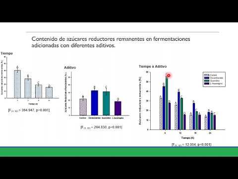 MEX061 - Efecto de la adición de diversas fuentes de nitrógeno orgánico en el proceso de fermen…