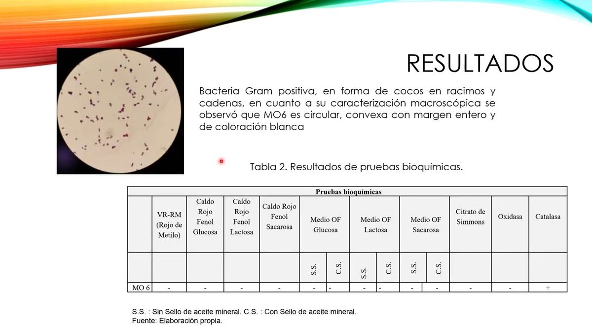 CEL291 - Tolerancia de Micrococcus luteus a Mercurio