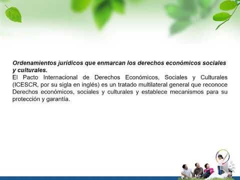 T256 - LA JUSTICIA SOCIAL EN EL MARCO DE LOS DERECHOS ECONÓMICOS SOCIALES Y CULTURALES