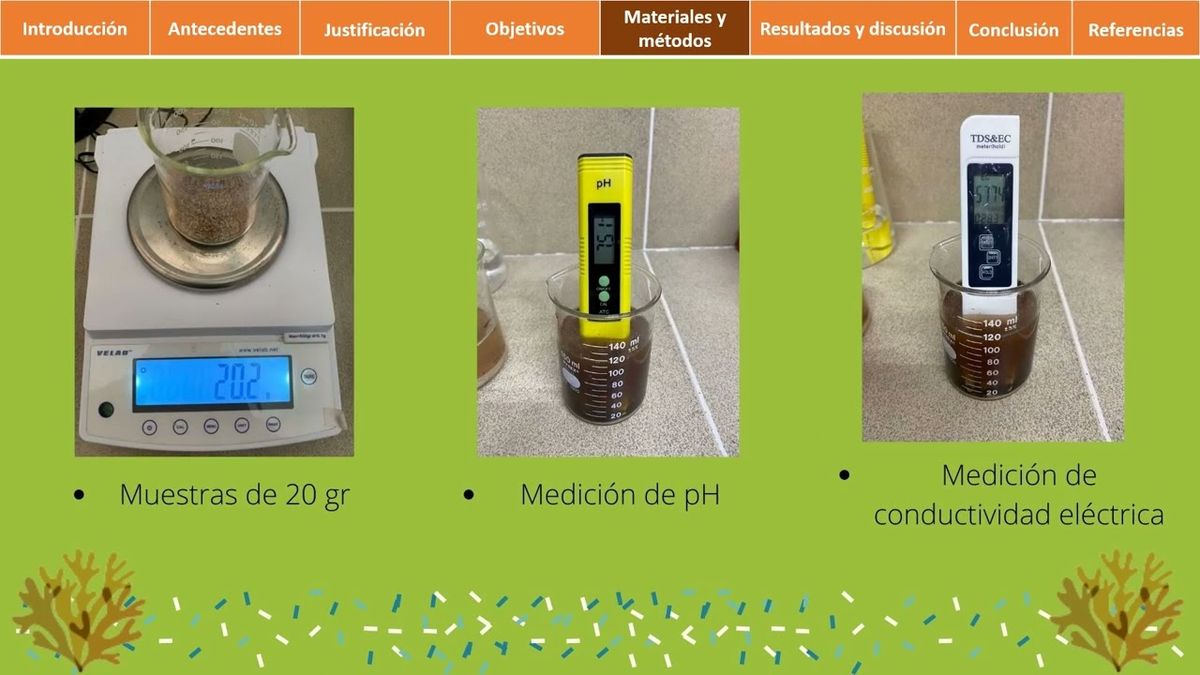 CHM134 - Propiedades Químicas y Biológicas del Selo Asociadas a la Presencia de Sargazo en la Zo…