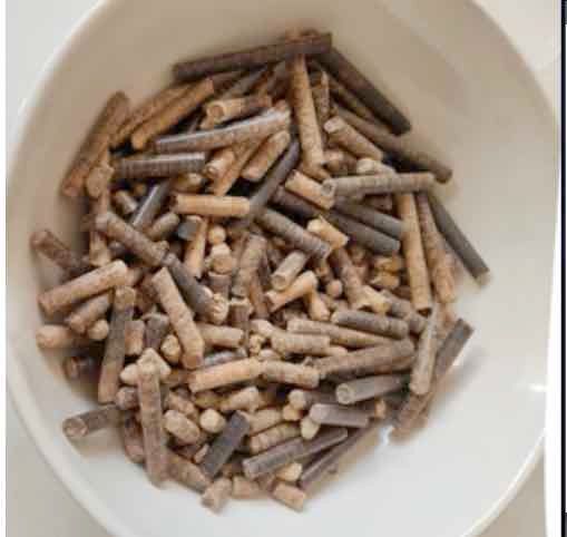 HDG086 - Evaluación de la Calidad de Pélets Elaborados a partir de Hueso de Mango