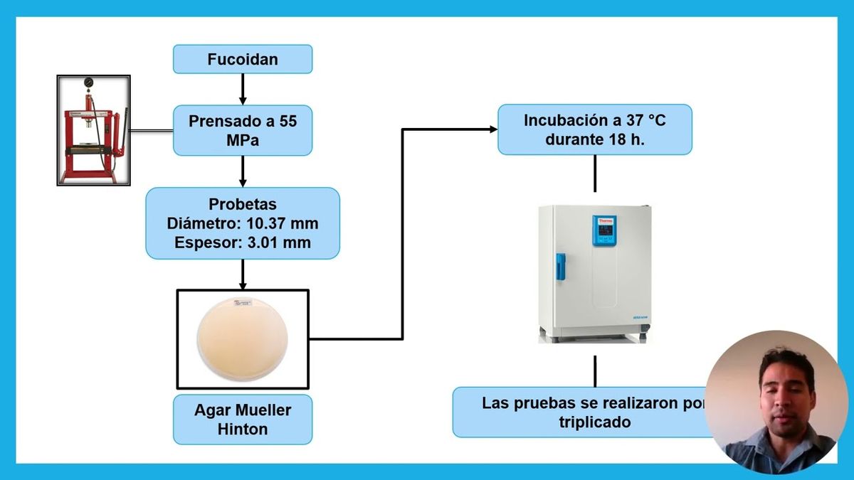 CYA138 - Evaluación de la Actividad Antibacteriana del Fucoidan de Bajo Peso Molecular