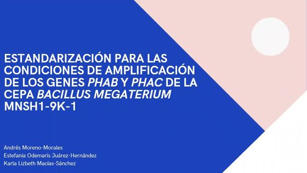CLY112 - Estandarización para las Condiciones de Amplificación de los Genes phaB y phaC de la Cep…
