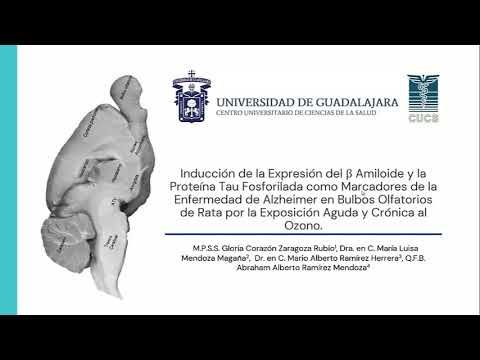 PUE076 - Inducción de la Expresión de β Amiloide y la Proteína Tau Fosforilada como Marcadores …