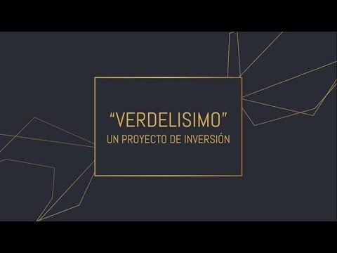 MOR122 - "Verdelisimo" un Proyecto de Inversión