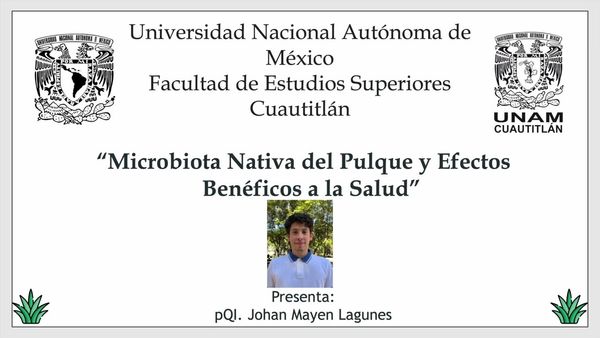 HDG159 - Microbiota Nativa del Pulque y Efectos Benéficos a la Salud