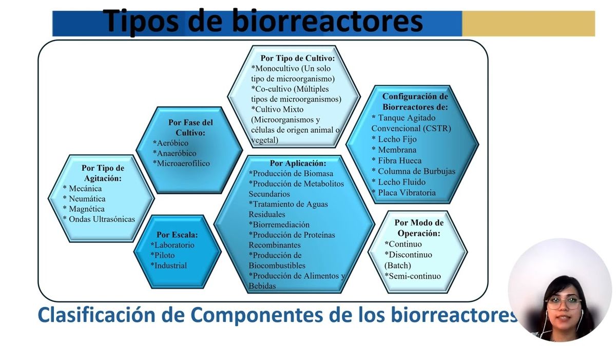 FRS080 - Principales Aspectos del Modelado y Simulación de un Biorreactor