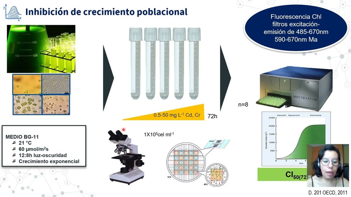 MOR075 - Evaluación de la Tolerancia a Cd2+ Comparado con Cr6+ y su Mezcla Binaria en Cuatro Gén…