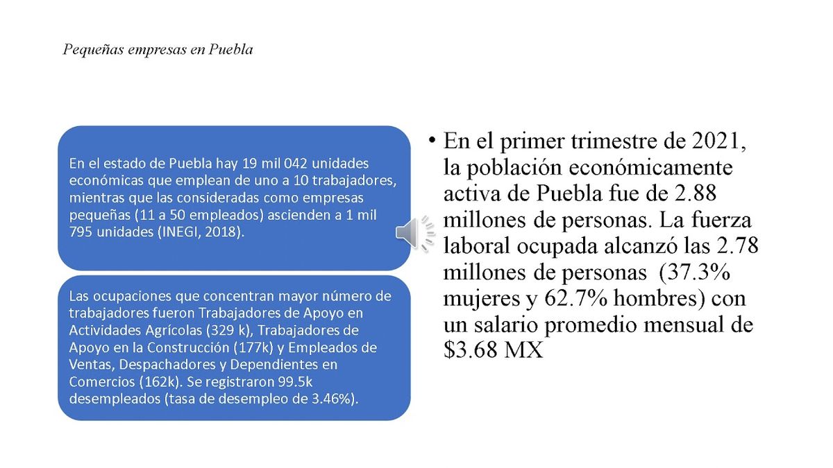 HID156 - Las Tecnologías de la Información y la Comunicación (TIC) en las Pequeñas Empresas Pob…