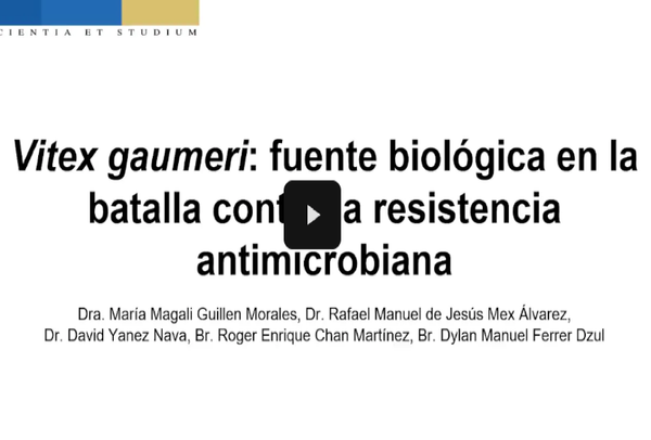 INT119- Vitex gaumeri: Fuente Biológica en la Batalla contra la Resistencia Antimicrobiana # Integ…