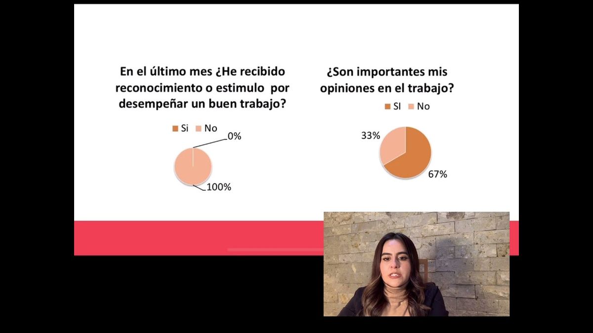 CLY173 - Estudio y Propuesta de Estrategias para Disminuir la Rotación de Personal de Mano de Obra…