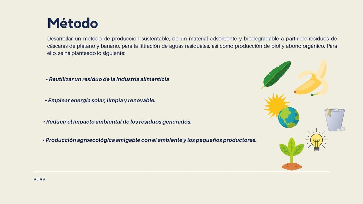 HID493 - Desarrollo Sustentable de un Material Adsorbente y Biodegradable, a partir de Cáscaras de…