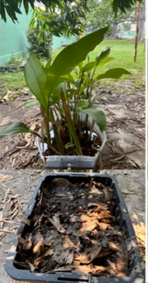 PUE004 - Proposal for a Biological Treatment Train for Leachate Generated by Washing of Soils Conta…