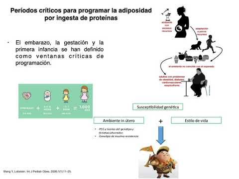 PUE117 - Efectos en la Programación Metabólica Temprana y Desarrollo de Adiposidad por la Ingesta…