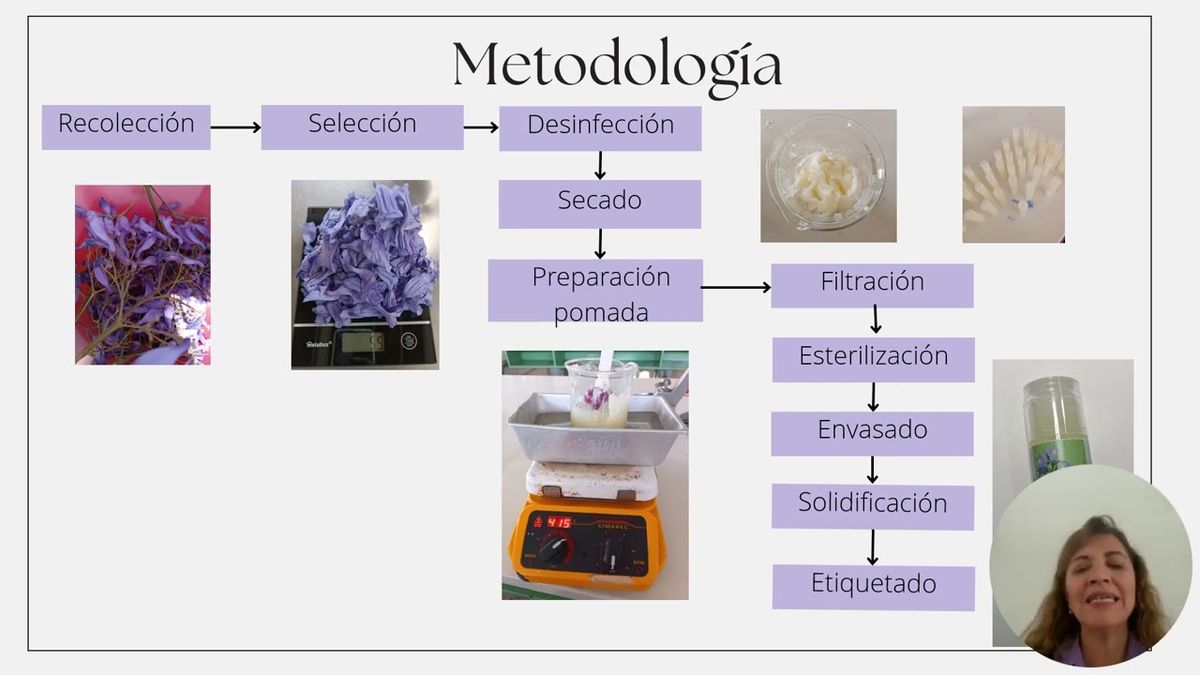 CLY165 - Uso de la flor de Jacaranda (Jacaranda mimosifolia) en la elaboración de una pomada antis…