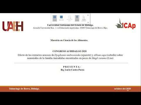 H269 - EFECTO DE LOS EXTRACTOS ACUOSOS DE DYSPHANIA AMBROSIOIDES (EPAZOTE) Y ALLIUM CEPA (CEBOLLA) …