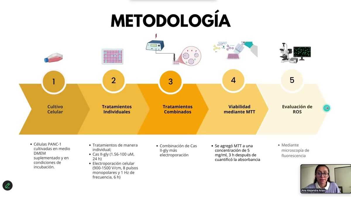 INT100- Evaluación del Efecto Citotóxico de Casiopeína® II-gly en Combinación con Electroporac…